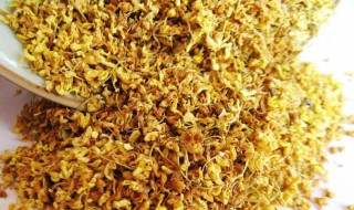 桂花酒的功效与作用 桂花酒的功效与作用及食用禁忌