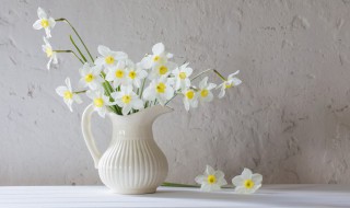 晒花怎么文字发朋友圈 晒花怎么文字发朋友圈简短