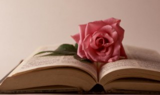 退伍军人励志句子 退伍励志句子唯美简短