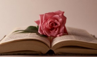 女孩变优秀的励志说说（女孩变优秀的励志说说简短）