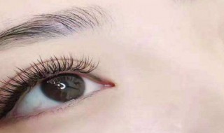 睫毛怎么样才能变长 睫毛怎么样才能变长变密