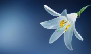 吃一堑长一智人生感悟（吃一堑长一智人生感悟800字）