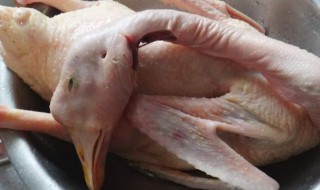 鹅肉的功效与禁忌 鹅肉为什么要少吃