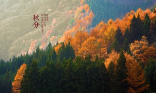 秋分谚语 秋分谚语大全