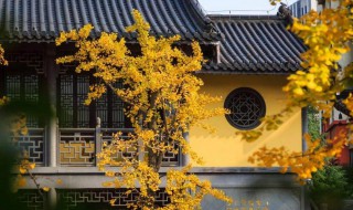 几月几号秋分 几月几号是秋分节气