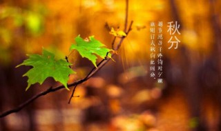 秋分是什么季节（秋分是什么季节啊）