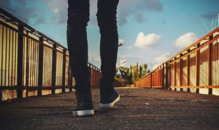 人活着的三个理由（人活着的三个理由;依赖 希望 未来）