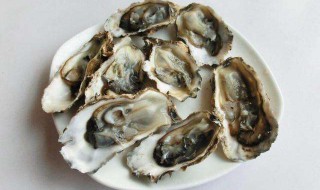 生蚝蒸多长时间最好吃（开盖生蚝蒸多长时间最好吃）