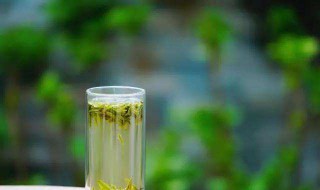 说一个人绿茶什么意思 说一个人绿茶什么意思呀