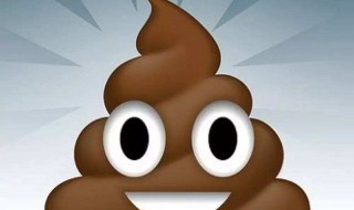 梦见踩屎了是什么意思 梦见踩屎了是什么意思 周公解梦广灵豆腐干多少钱