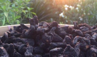 九蒸九晒黄精的功效与作用