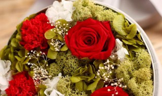 送给女的朋友什么礼物好 送给女的朋友什么礼物好呢