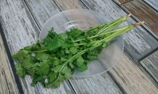 香菜祛斑方法 香菜如何祛斑