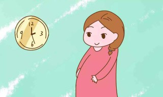 怎样数胎动 怎样数胎动最简单