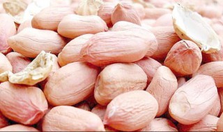 花生吃多了会怎样（仓鼠花生吃多了会怎样）