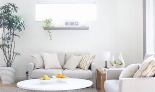 室内除甲醛最好的方法（室内除甲醛最好的方法有哪些）