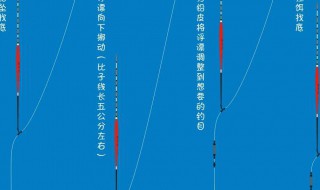 最简单的调漂方法（最简单的调漂方法视频）