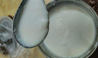 做酸奶的制作方法 小熊酸奶机做酸奶的制作方法