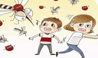 杀蚊子最好的方法（室内杀蚊子最好的方法）