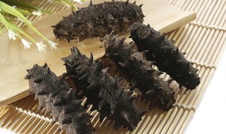 怎么选海参多少头好 海参几头怎么算