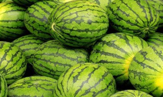 怎样挑西瓜（怎样挑西瓜又熟又好吃）