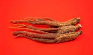 当参的功效与作用及食用方法（当参功效和作用是什么）