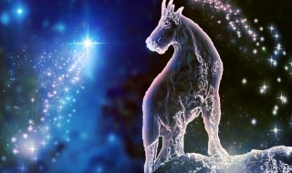 摩羯女跟什么星座最配（摩羯女跟什么星座最配情侣）