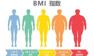 标准体重的计算方法（标准体重的计算方法成年女性）