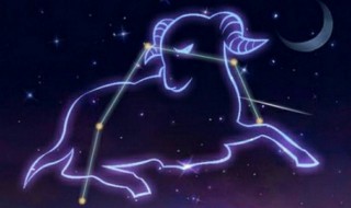 双子座和什么星座最配（双子座和什么星座最配做夫妻）