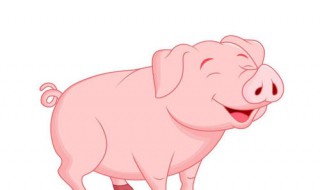 属猪男和什么属相最配 2007年属猪男和什么属相最配