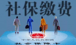 如何查询社保缴费情况 微信如何查询社保缴费情况