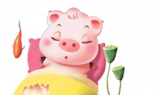 生肖猪和什么生肖最配（生肖猪和什么生肖最配对）