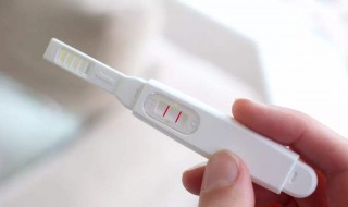 验孕棒的使用方法（验孕棒的使用方法图片）