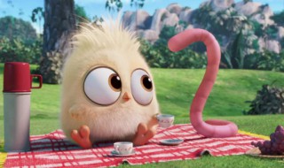 蚯蚓怎么养殖（蚯蚓怎么养殖用什么土）