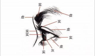 五官指的是哪五官（请问五官指的是哪五官）