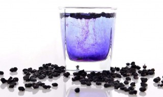 黑枸杞泡水一次放几粒 黑枸杞泡水一次放几粒可以泡几次