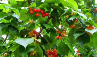 抖音最火文案春天像什么的比喻句（春天像……的比喻句）