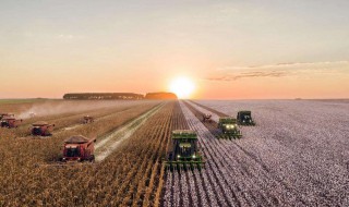 三农指的是哪三农 三农指的是哪三农问题