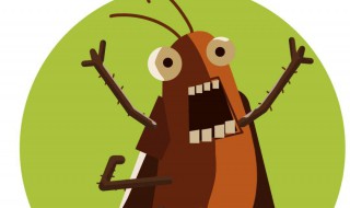 去除蟑螂最有效的方法 彻底去除蟑螂最有效的方法