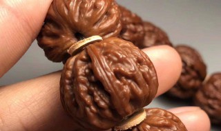 盘核桃的方法与技巧 盘核桃的方法与技巧上色