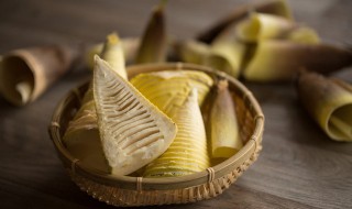 怎么挖冬笋技巧（怎么挖冬笋技巧绝招视频）