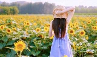 清新阳光短句 清新阳光的句子