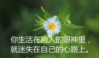 人生感言短句（人生感言短句励志）