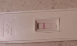 验孕棒怎样看 验孕棒怎样看图片