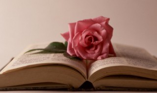 感悟生死的经典句子 感悟生死离别的佳句