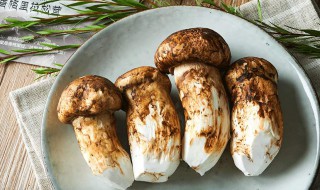 松茸如何保存（松茸如何保存方法）