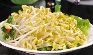 在家如何生黄豆芽 在家如何生黄豆芽视频教程