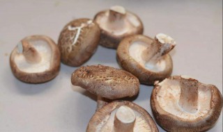 菘茸怎么保存 姫松茸怎么保存