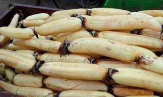 莲藕怎么保存最久（莲藕怎么保存最久不坏）