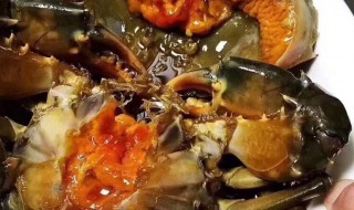青膏蟹该怎么保存（青膏蟹该怎么保存好）